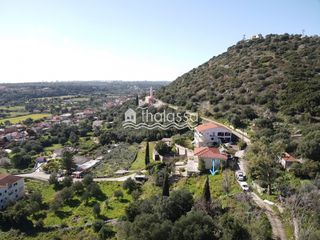 Αγροτεμάχια 648 τ.μ. για πώληση