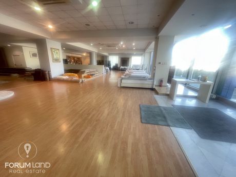Store 1.700sqm for rent-Pylea » Mediterranean Cosmos