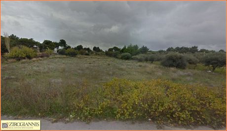 Αγροτεμάχια 7.120τ.μ. για πώληση-Παλλήνη