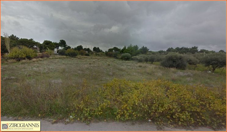 Αγροτεμάχια 7.120 τ.μ. για πώληση, Αθήνα - Ανατολικά Προάστια, Παλλήνη