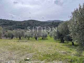 Αγροτεμάχια 2.939 τ.μ. για πώληση