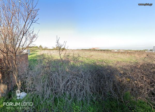 Parcel 7.000 sqm for sale, Thessaloniki - Suburbs, Thermi