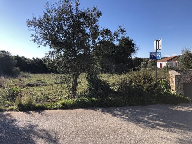 Οικόπεδο 1.834 τ.μ. προς πώληση, Λειβαθώ
