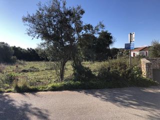 Οικόπεδο 1.834 τ.μ. για πώληση