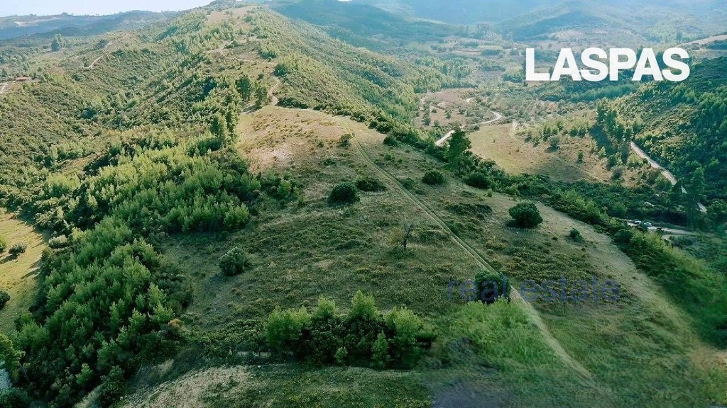 Αγροτεμάχια 17.197 τ.μ. προς πώληση, Χανιώτης