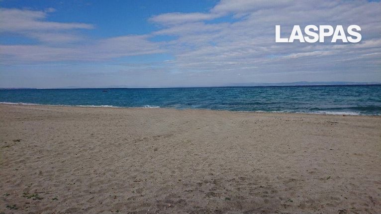 Αγροτεμάχια 4.725 τ.μ. για πώληση, Χαλκιδική, Παλλήνη