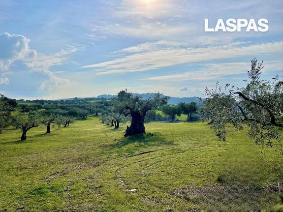 Parcel 4.725 sqm for sale, Chalkidiki, Kassandra