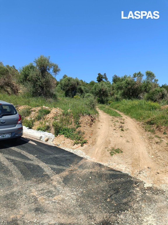 Αγροτεμάχια 10.457 τ.μ. προς πώληση, Λουτρά Παλλήνης