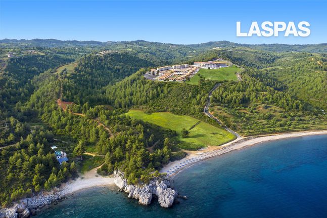 Parcel 10.457 sqm for sale, Chalkidiki, Pallini