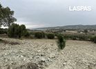 Parcel 4.981,48sqm for sale-Kassandra