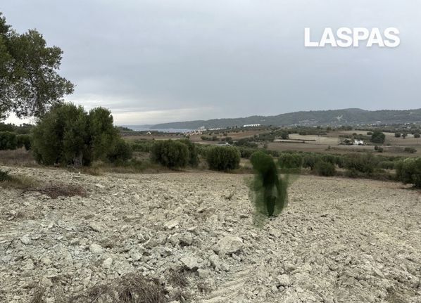 Αγροτεμάχια 4.981,48 τ.μ. για πώληση, Χαλκιδική, Κασσάνδρα