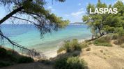 Αγροτεμάχια 9.500τ.μ. για πώληση-Κασσάνδρα