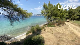 Αγροτεμάχια 9.500 τ.μ. για πώληση, Χαλκιδική, Κασσάνδρα-thumb-1