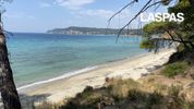 Αγροτεμάχια 15.837τ.μ. για πώληση-Κασσάνδρα