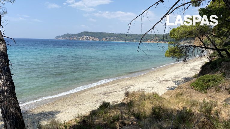 Parcel 15.837 sqm for sale, Chalkidiki, Kassandra