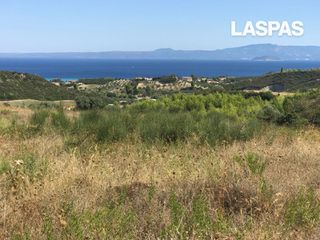 Αγροτεμάχια 16.000 τ.μ. για πώληση