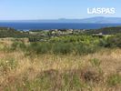 Parcel 16.000sqm for sale-Pallini