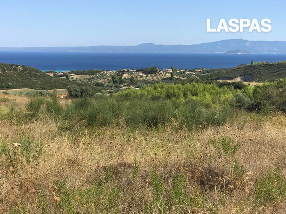 Αγροτεμάχια 16.000 τ.μ. για πώληση, Χαλκιδική, Παλλήνη