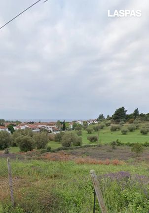 Αγροτεμάχια 4.025 τ.μ. για πώληση, Χαλκιδική, Κασσάνδρα