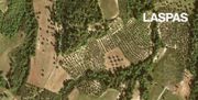 Parcel 8.000sqm for sale-Pallini