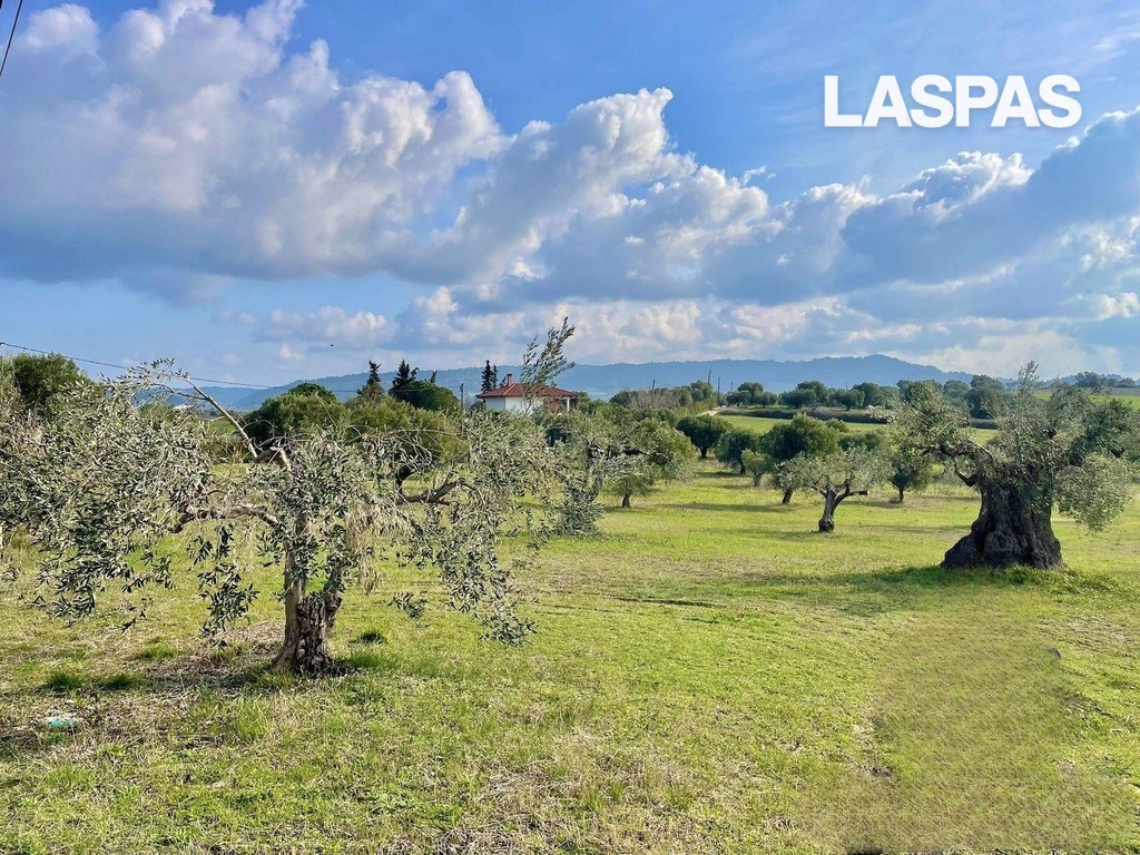 Αγροτεμάχια 9.450 τ.μ. προς πώληση, Ποσείδι