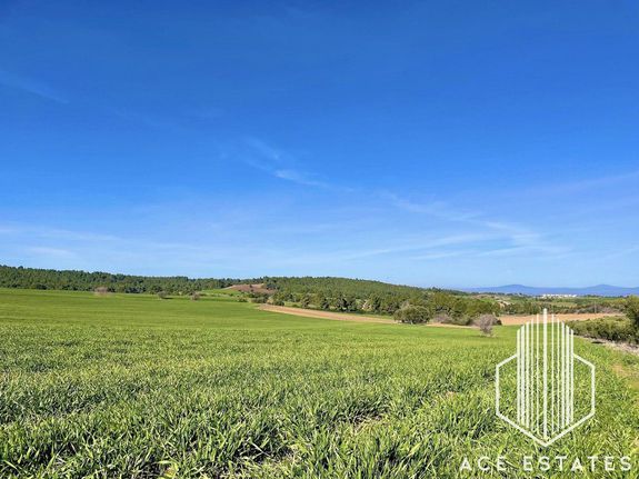 Parcel 5.300 sqm for sale, Chalkidiki, Kassandra