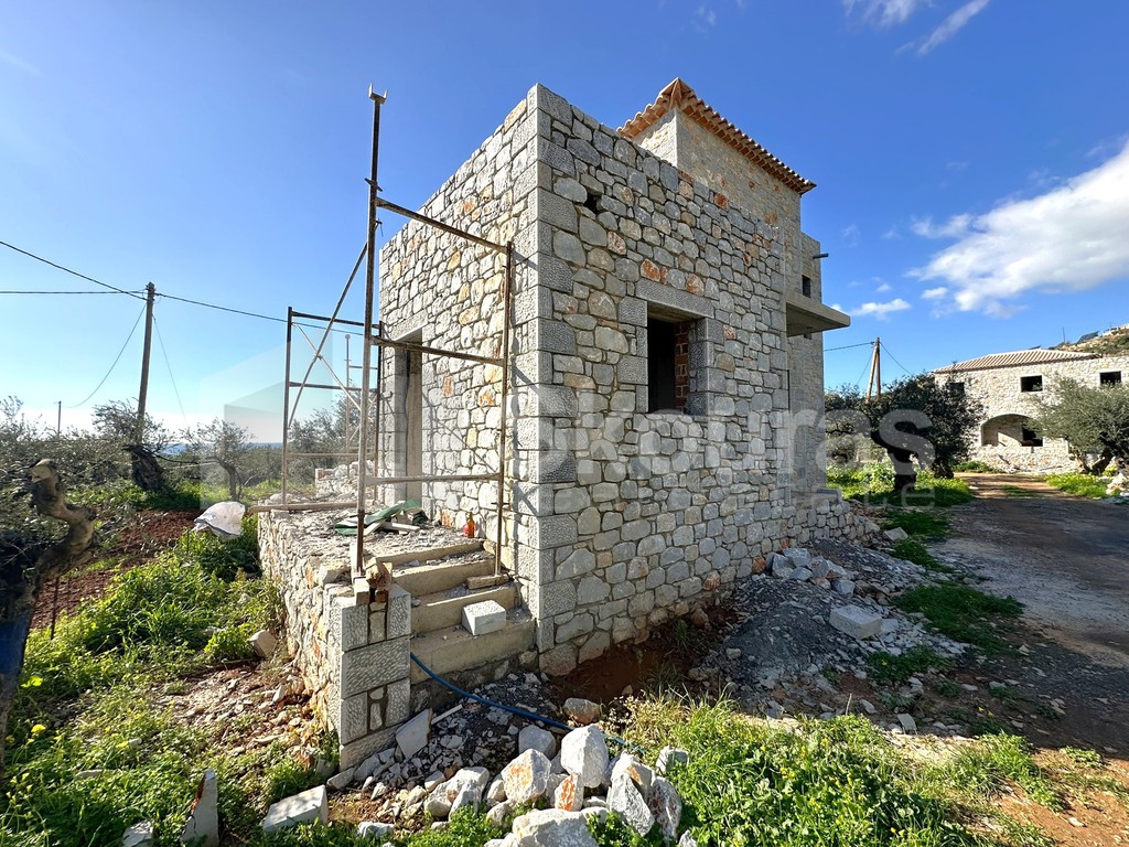 Μονοκατοικία 120 τ.μ. προς πώληση, Ρίγκλια