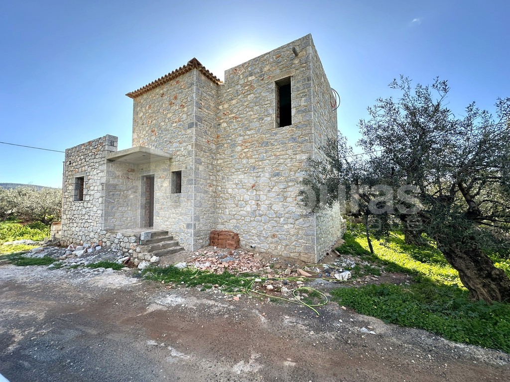 Μονοκατοικία 120 τ.μ. προς πώληση, Ρίγκλια