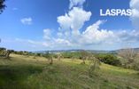 Parcel 4.026sqm for sale-Kassandra