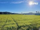 Parcel 7.300sqm for sale-Kassandra