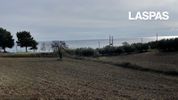 Parcel 4.100sqm for sale-Kassandra
