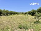 Parcel 4.230sqm for sale-Kassandra