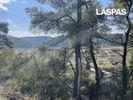 Land plot 1.250sqm for sale-Kassandra