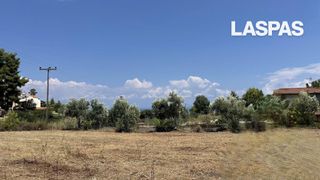 Αγροτεμάχια 4.050 τ.μ. για πώληση