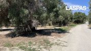 Parcel 4.455sqm for sale-Kassandra