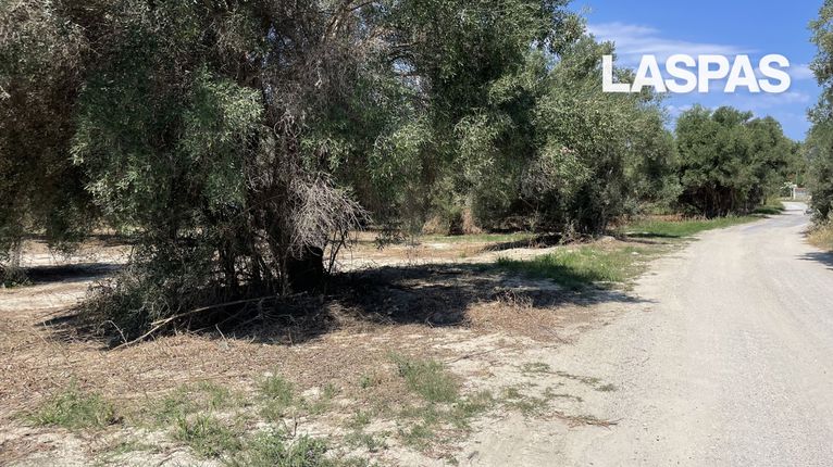 Αγροτεμάχια 4.455 τ.μ. για πώληση, Χαλκιδική, Κασσάνδρα