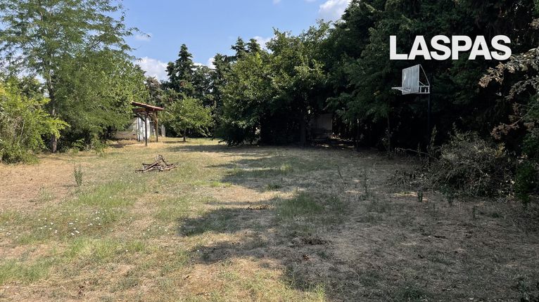Αγροτεμάχια 1.150 τ.μ. για πώληση, Χαλκιδική, Κασσάνδρα