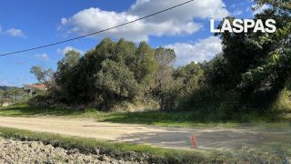 Αγροτεμάχια 1.350 τ.μ. για πώληση