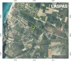 Αγροτεμάχια 4.250 τ.μ. για πώληση