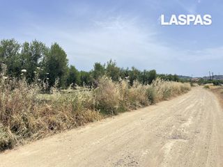 Αγροτεμάχια 1.688 τ.μ. για πώληση
