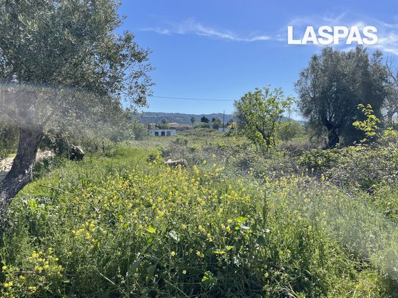 Parcel 1.302 sqm for sale, Chalkidiki, Kassandra