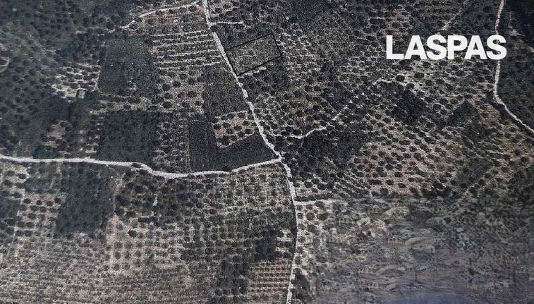 Αγροτεμάχια 2.507 τ.μ. για πώληση, Χαλκιδική, Κασσάνδρα