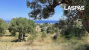 Land plot 1.666sqm for sale-Pallini