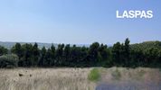 Parcel 4.300sqm for sale-Kassandra
