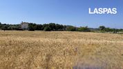 Parcel 7.300sqm for sale-Kassandra