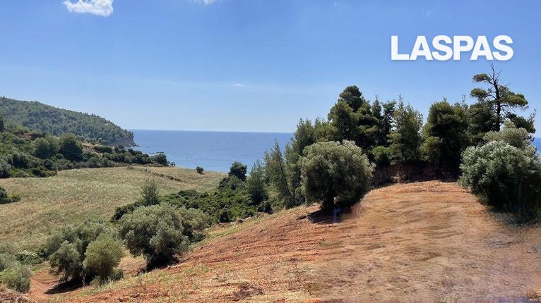 Αγροτεμάχια 6.500 τ.μ. για πώληση, Χαλκιδική, Παλλήνη