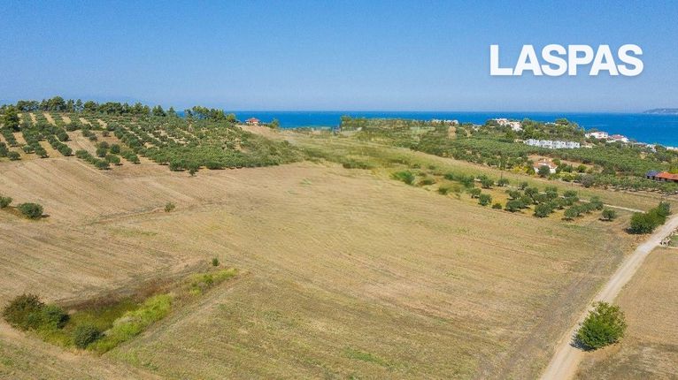Αγροτεμάχια 9.900 τ.μ. για πώληση, Χαλκιδική, Κασσάνδρα