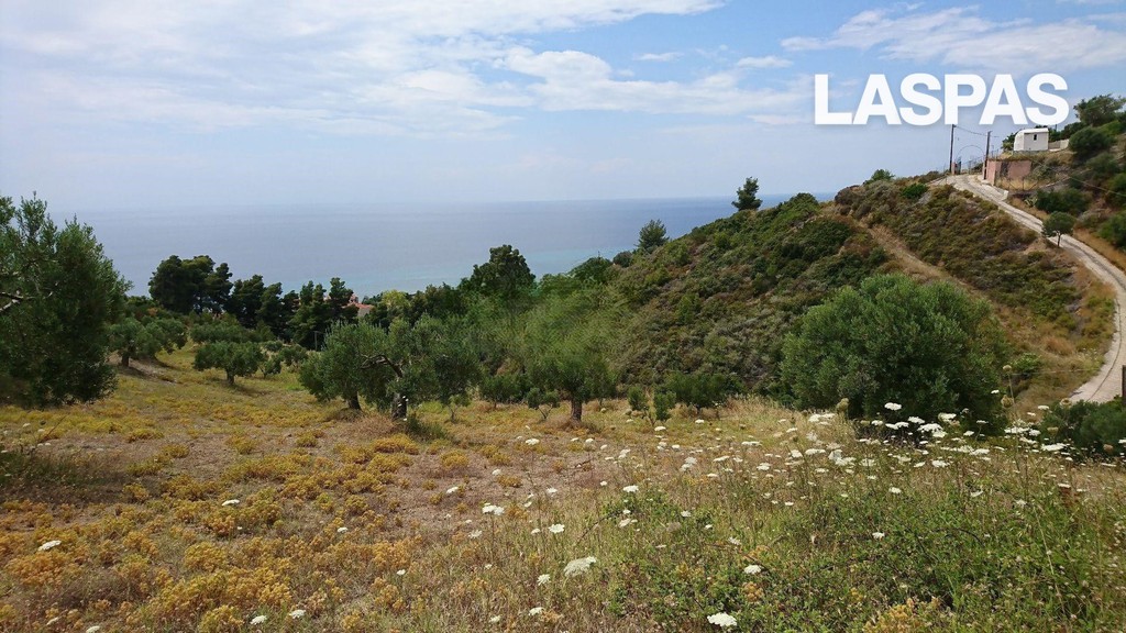 Αγροτεμάχια 8.014 τ.μ. προς πώληση, Νέα Σκιώνη