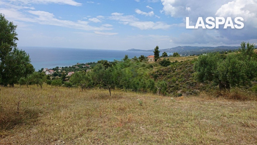Αγροτεμάχια 8.014 τ.μ. προς πώληση, Νέα Σκιώνη