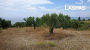 Αγροτεμάχια 8.014τ.μ. για πώληση-Παλλήνη
